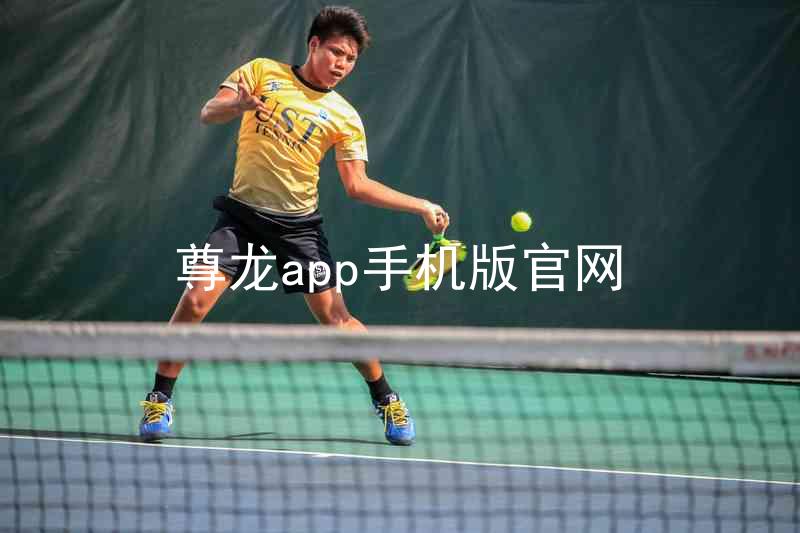 尊龙app手机版官网